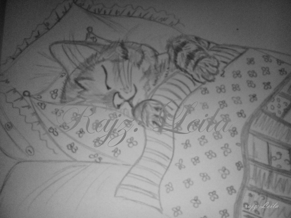 leilike_szofi_kiasszony_cafeblog